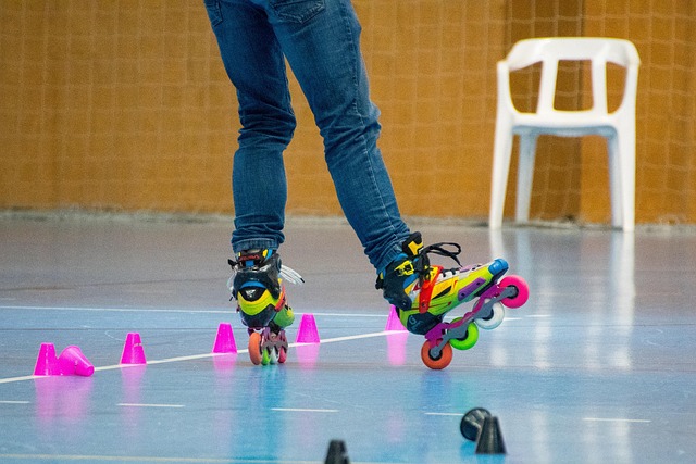 要组成部分 要组成部分