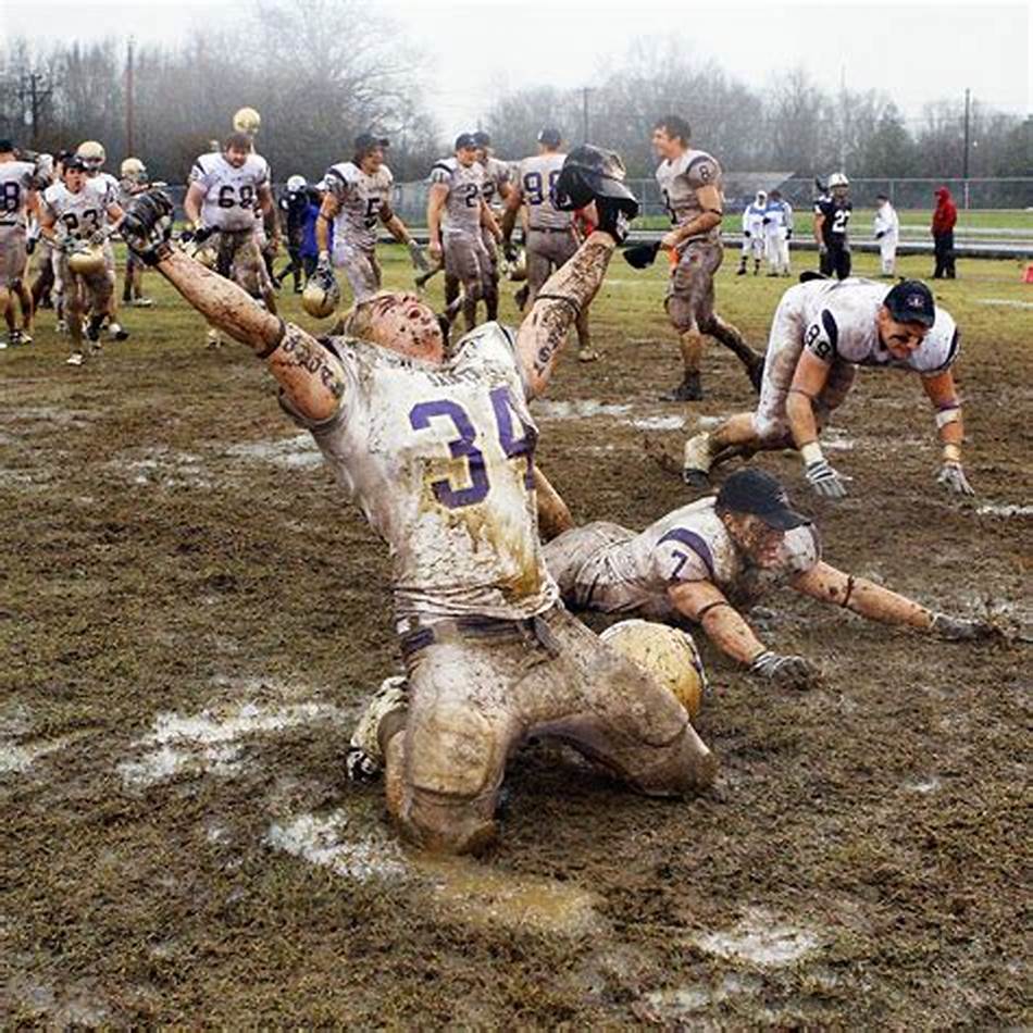 在今年的1 在今年的1