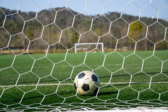 此次租借南 此次租借南