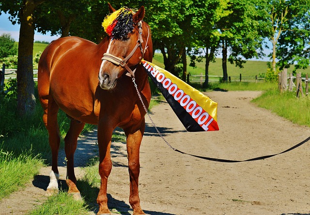 这一成就不 这一成就不