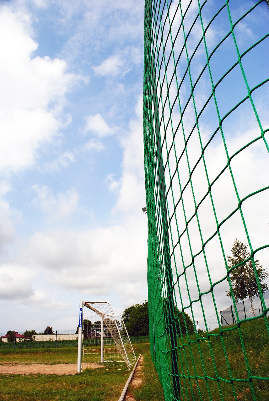 但他们却在 但他们却在